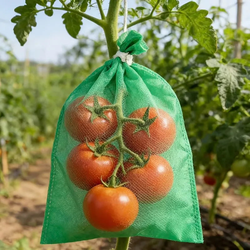 Non-Woven Fruit Protection Bags | Grape, Tomato & Garden Fruit Protection Bags QXL