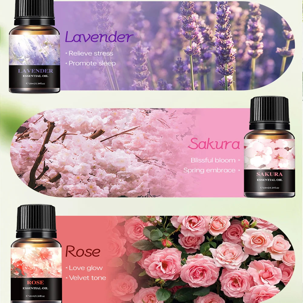Summer Ocean Essential Oil Set | 6-Piece Diffuser Oils – QXL Aromatherapy Essential Oils QXL