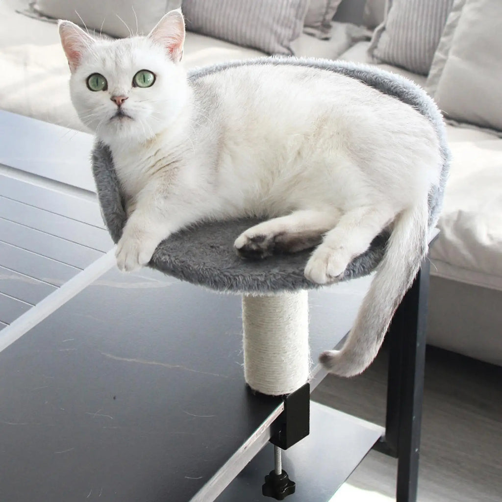 360° Rotating Desk Clamp Cat Bed | Adjustable Kitten Perch Cat Desk Bed QXL