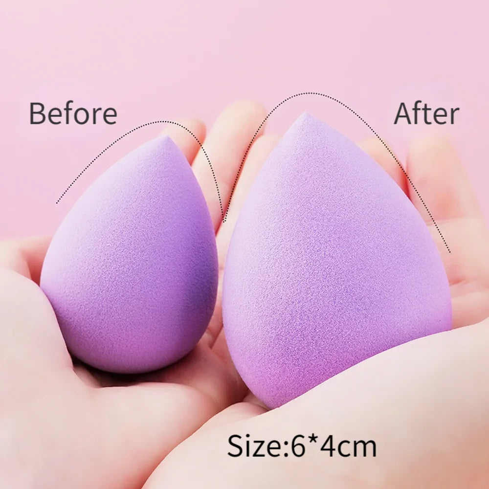Egg-Shaped Makeup Sponge Storage Box | Transparent Puff Holder Sponge Storage Box QXL