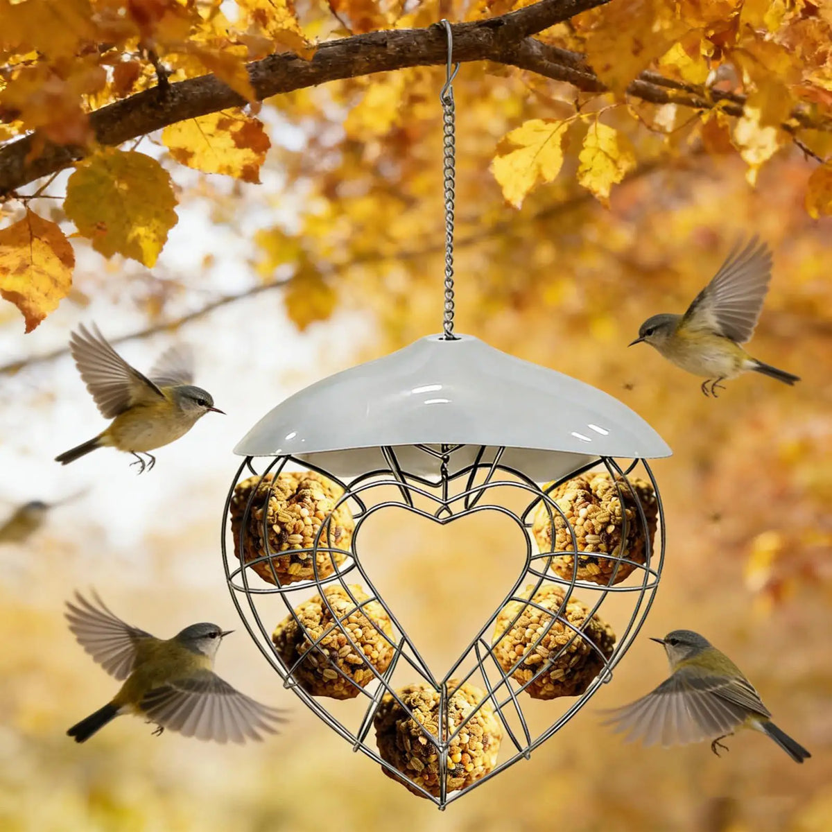 Heart-Shaped Outdoor Suet Ball Bird Feeder – PC & Steel Wild Bird Feeder QXL
