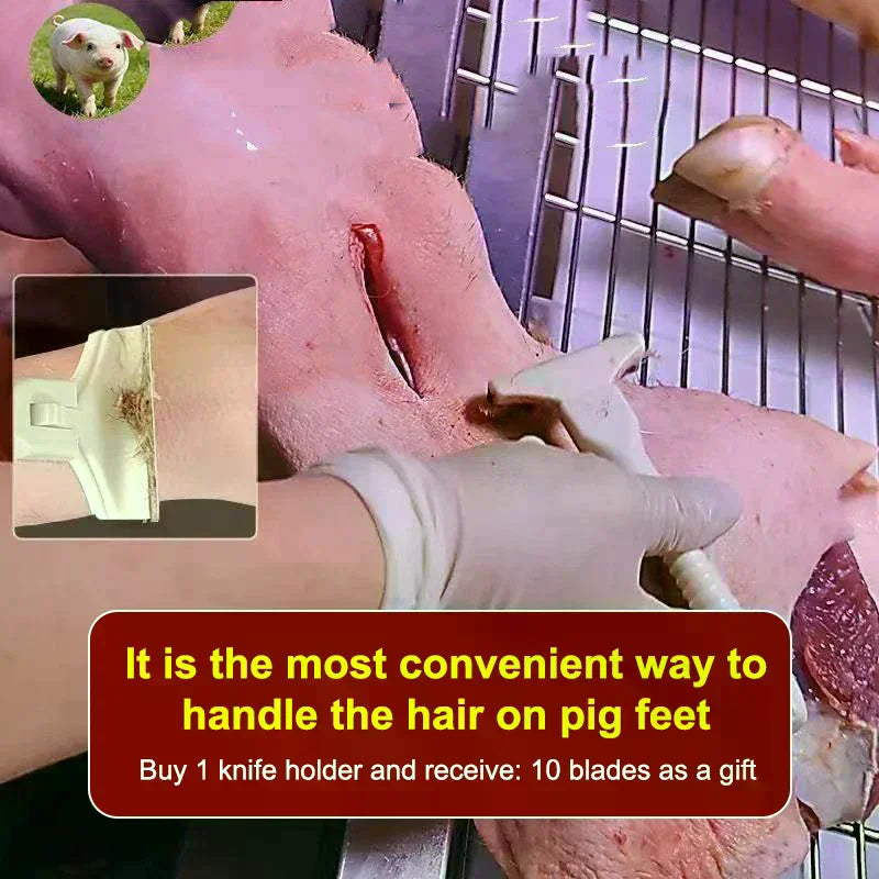 Pig Skin Scraping Knife | Hair, Hoof & Grease Removal Tool Butchery Scraping Knife QXL
