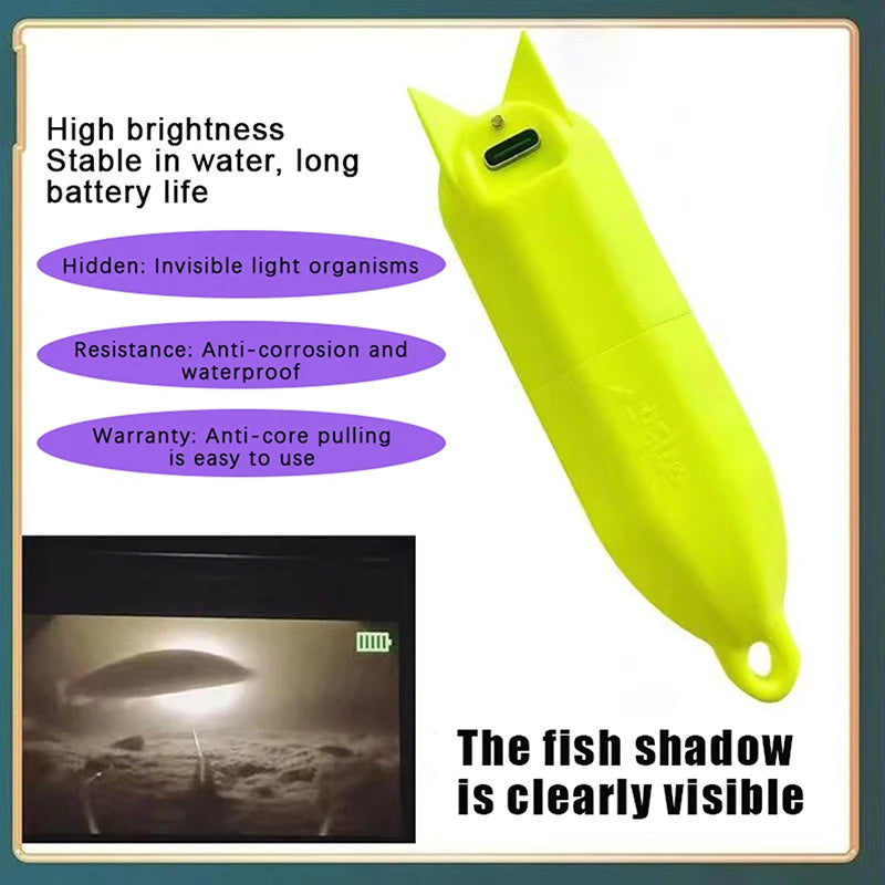 LED 360° Night Fishing Float | Bright Waterproof Bobber Night Fishing Float QXL