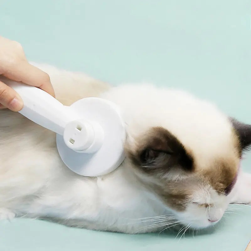 Self-Cleaning Pet Slicker Comb | One-Click Fur Removal for Cats & Dogs Pet Grooming Comb QXL