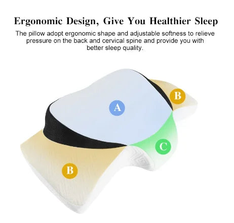 Ergonomic Cervical Memory Foam Neck Pillow | Better Sleep Memory Foam Pillow QXL