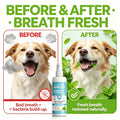 Pet Breath Freshener Spray 100ml – Dogs & Cats Oral Care Pet Oral Care Spray QXL Default Title