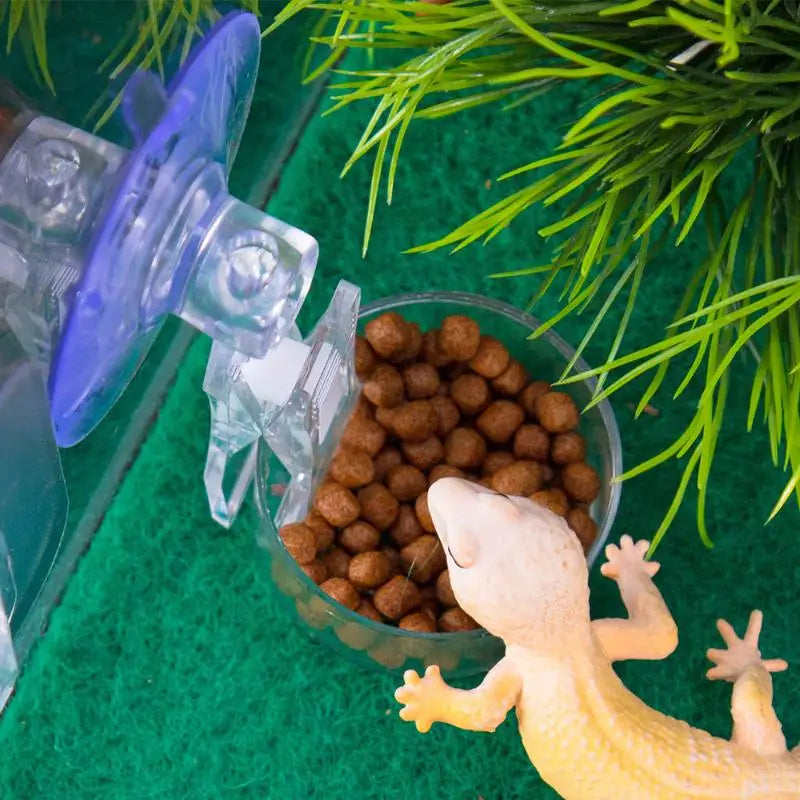 Reptile Suction Cup Feeder Bowl for Gecko Lizard Frog & Snake Reptile Feeder Bowl QXL
