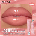 QIBEST Crystal Lip Gloss | Shimmer, Moisture & Long-Lasting Tint Shimmer Lip Gloss QXL 02
