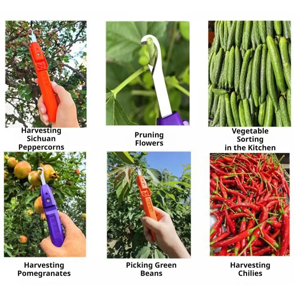 Fruit & Vegetable Picking Shear | Ergonomic Garden Tool Garden Picking Shear QXL