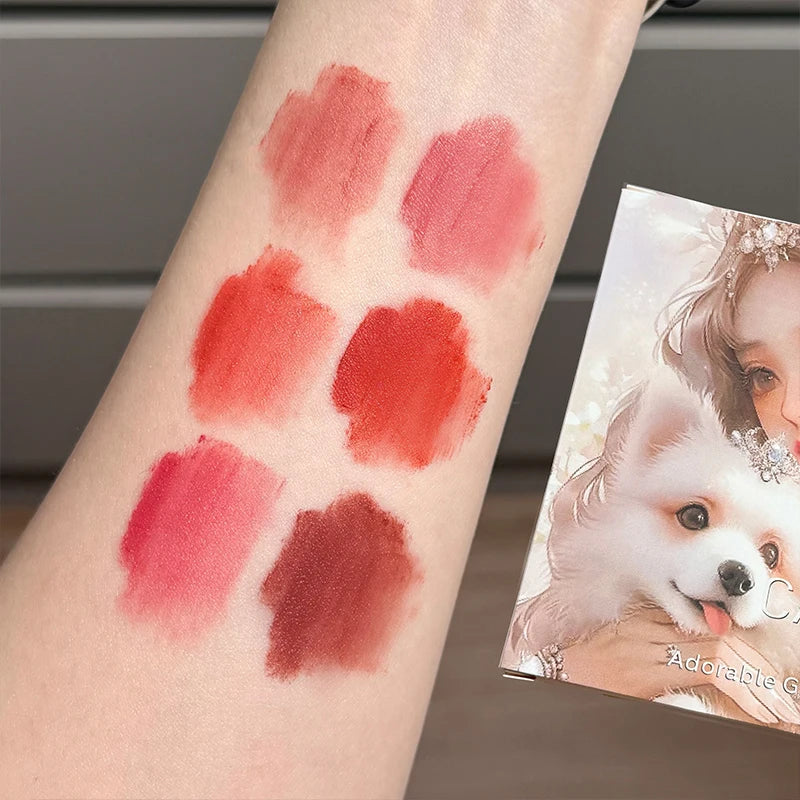 CACE 6-Color Matte Velvet Liquid Lipstick Set | Waterproof Nudes Liquid Lipstick Set QXL