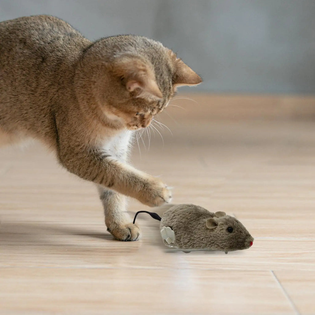 Wind-Up Plush Mouse Cat Toy | Interactive Kitten Chasing Toy Interactive Cat Toy QXL