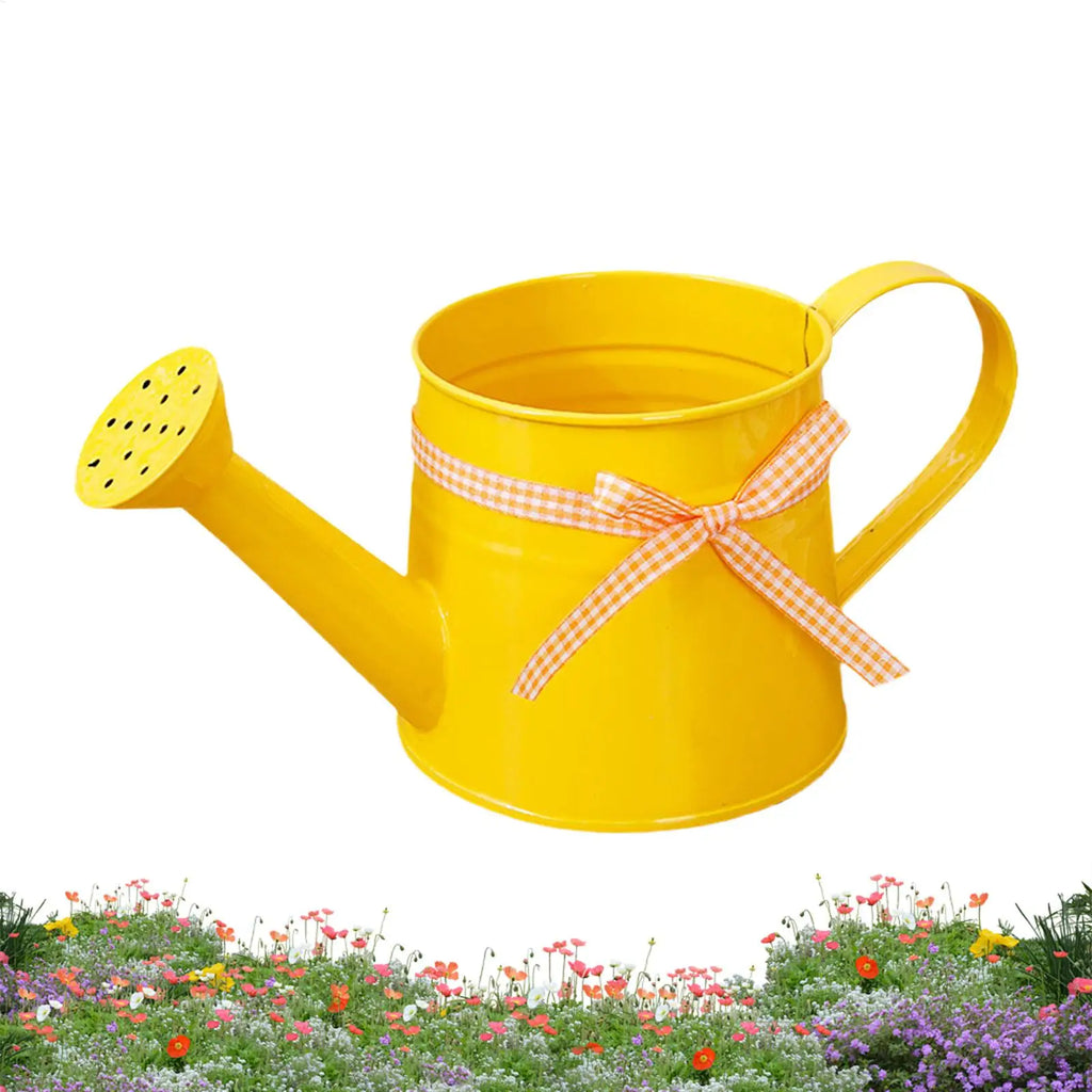 1L Metal Decorative Watering Can for Indoor & Outdoor Plants Decorative Watering Can QXL