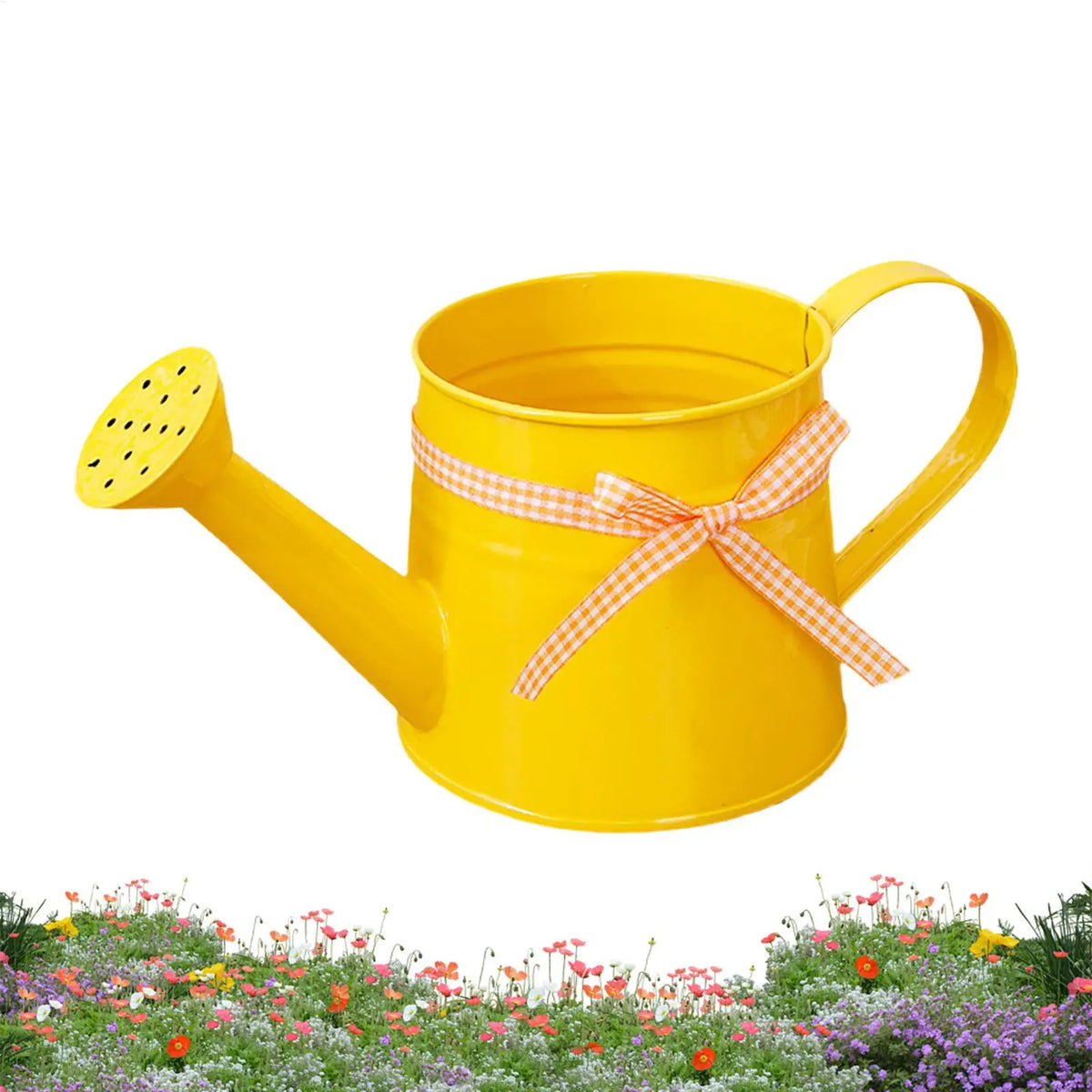1L Metal Decorative Watering Can for Indoor & Outdoor Plants Decorative Watering Can QXL