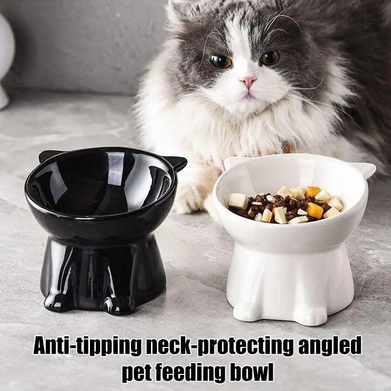 Raised Cat Bowl | Anti-Tip 15° Slanted Elevated Pet Feeder Elevated Pet Bowl QXL