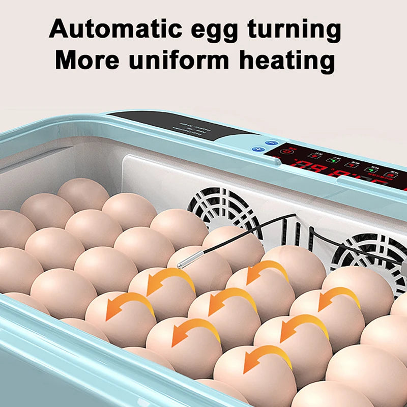 6-Egg Automatic Incubator – Chicken, Duck & Quail Egg Incubator QXL
