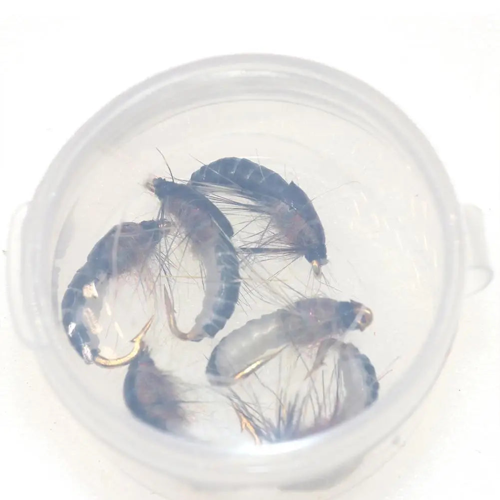 6-Pack Nymph Scud Fly Fishing Lures for Trout | #12 Hook Fly Fishing Lure QXL