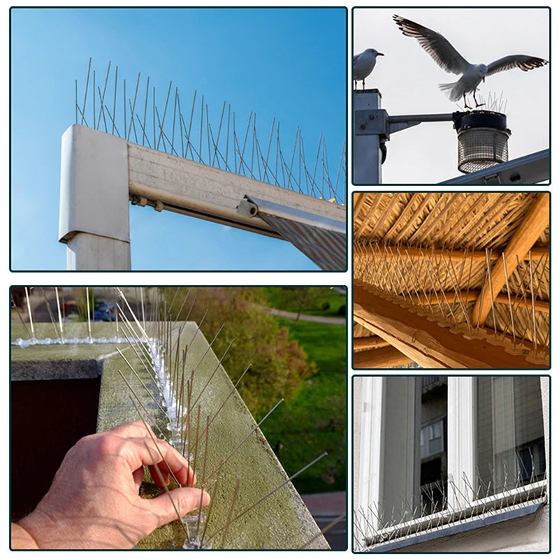 25cm Stainless Steel Bird Spikes | Pigeon Deterrent Kit Bird Spike Deterrent QXL