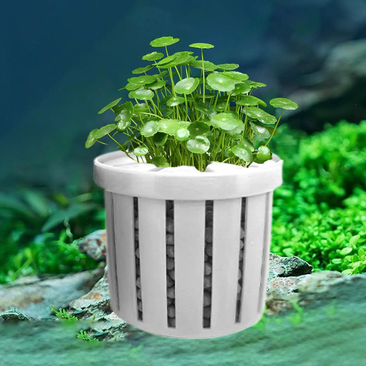 4-Pack Aquarium Plant Basket Pots | Fish Tank Hydroponic Holder Aquarium Plant Basket QXL