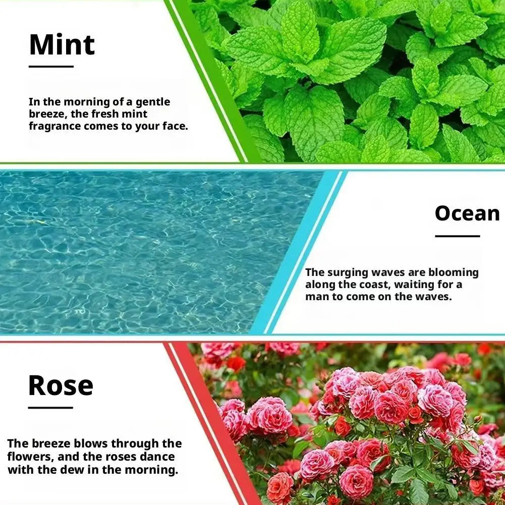10ml Fragrance Essential Oils | Lavender Rose Lemon & More Fragrance Essential Oil QXL