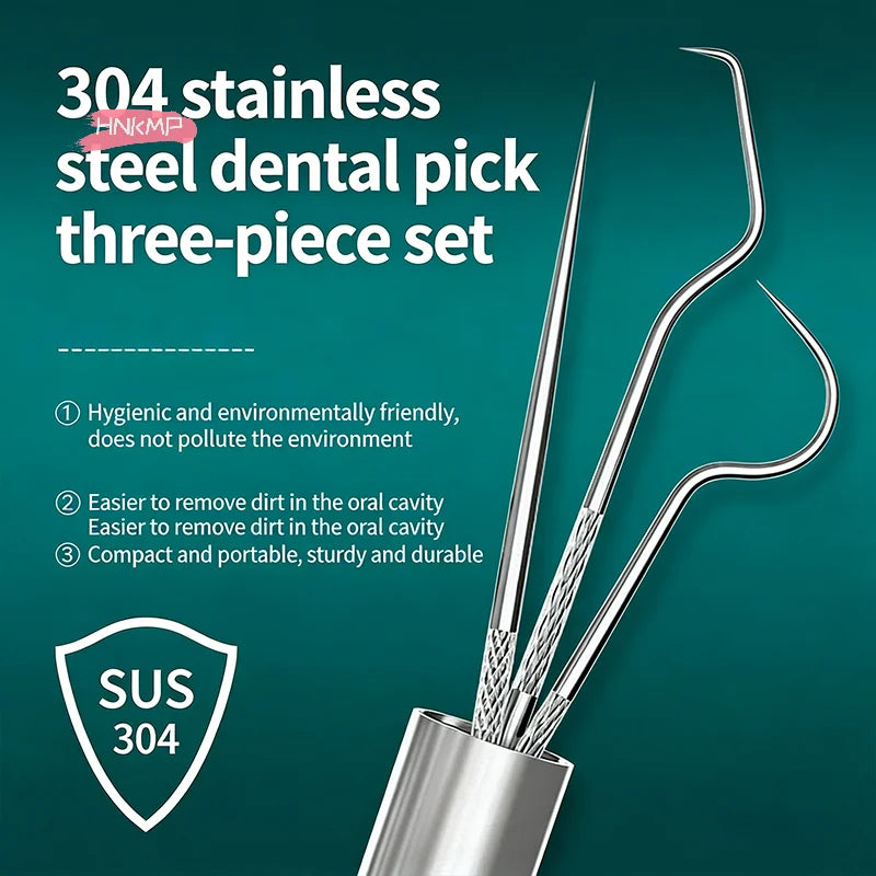 304 Stainless Steel Toothpick Set & Portable Holder | Dental Care Toothpick Set QXL
