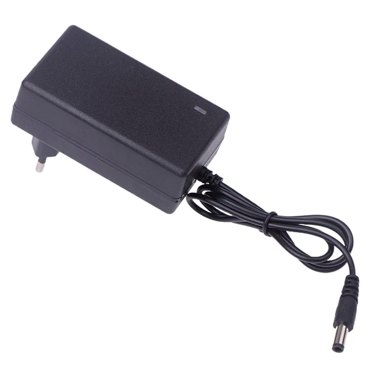 Massage Gun Power Adapter AC 100-240V EU Plug Charger Massage Gun Charger QXL