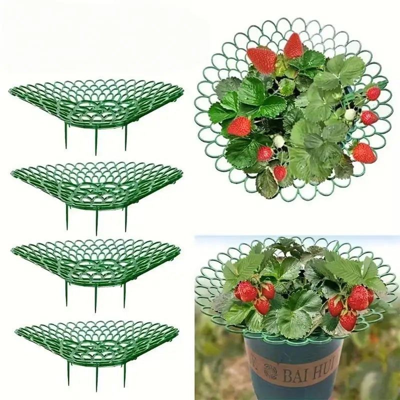 6-Pack Strawberry Plant Support Frames | 3-Leg Growing Rack Plant Support Frames QXL