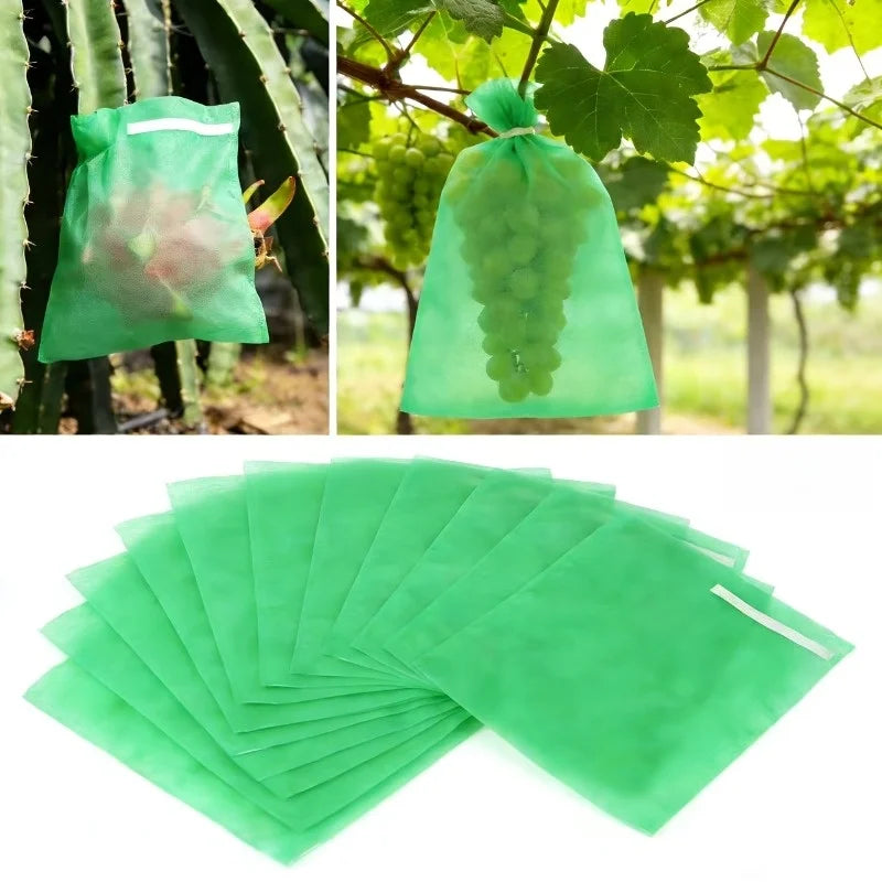 Non-Woven Fruit Protection Bags | Grape, Tomato & Garden Fruit Protection Bags QXL