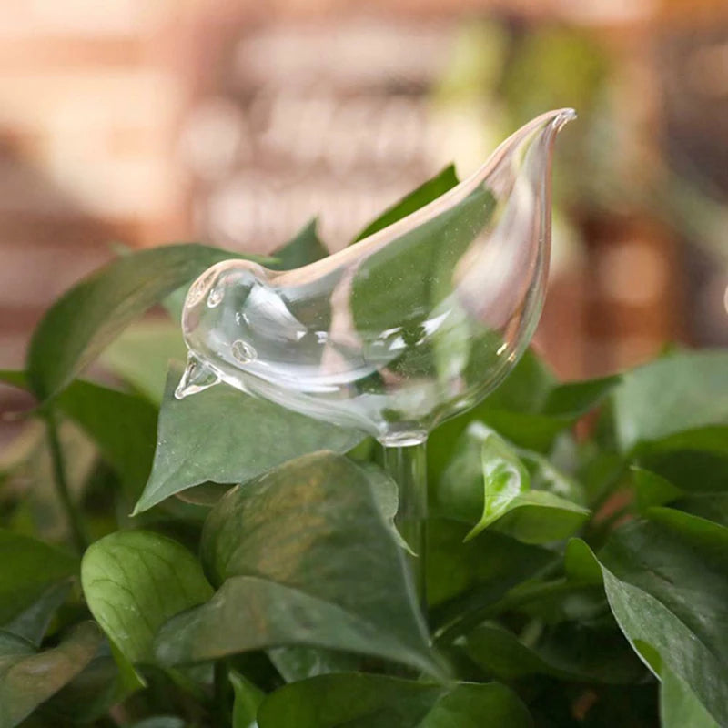 Bird-Shape Self-Watering Plant Globes | 25cm Aqua Bulbs Self-Watering Globe QXL