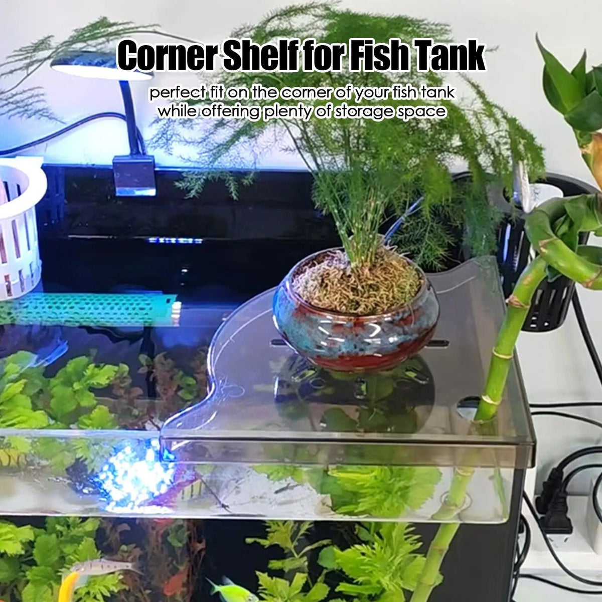 Aquarium Corner Shelf | Coral Frag Rack & Tank Organizer Aquarium Corner Shelf QXL