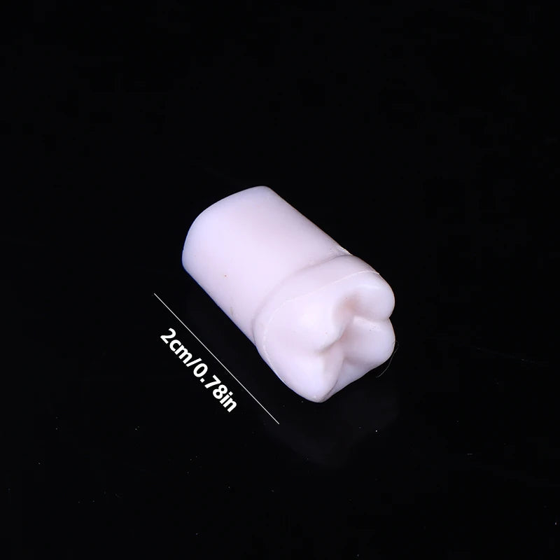 28/32-Pc Dental Typodont Teeth Model | Resin Training Aid Dental Training Model QXL