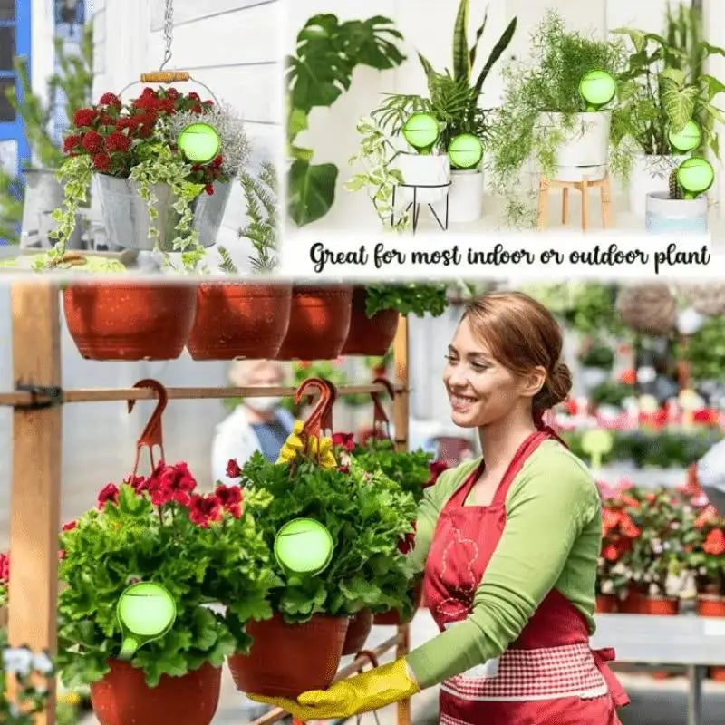5-Pack Self-Watering Globes | Plant Drip Irrigation Waterer Plant Watering Globe QXL