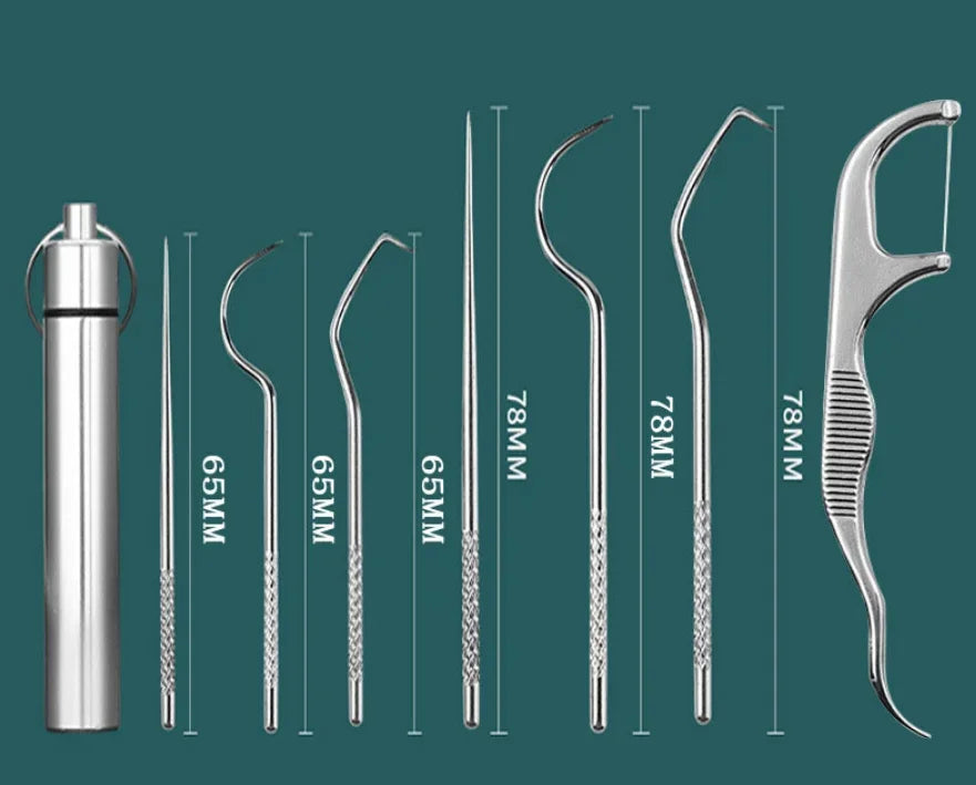 Stainless Steel Reusable Toothpick Set | Portable Teeth Cleaner Reusable Toothpick Set QXL