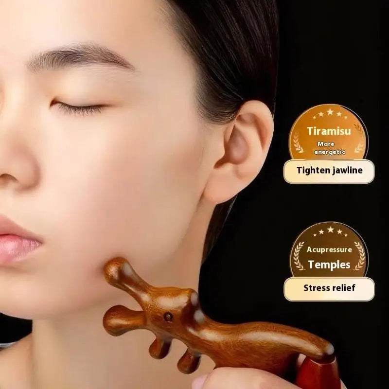 Sandalwood Massage Comb | Anti-Static Wide Tooth Scalp Comb Scalp Massage Comb QXL
