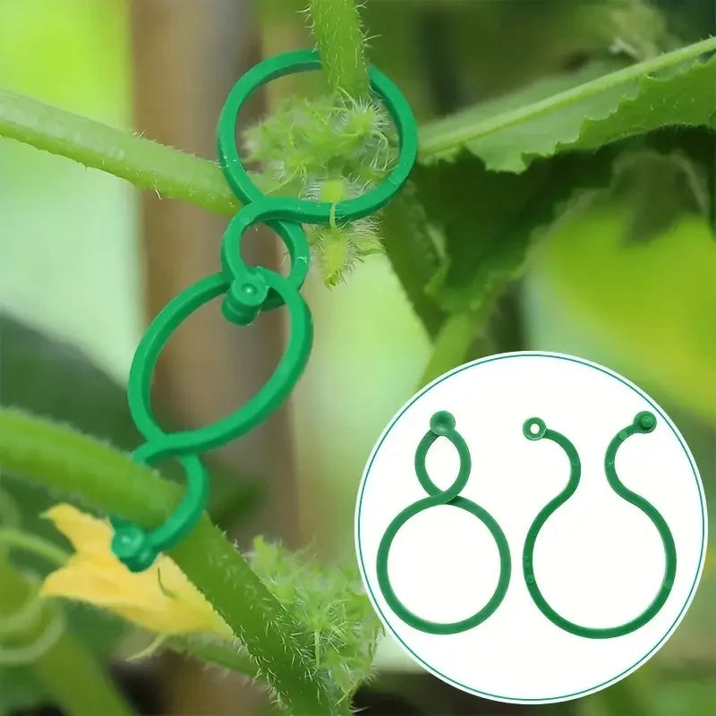 8-Figure Plant Clips for Tomatoes & Vines | Garden Support Garden Plant Clips QXL