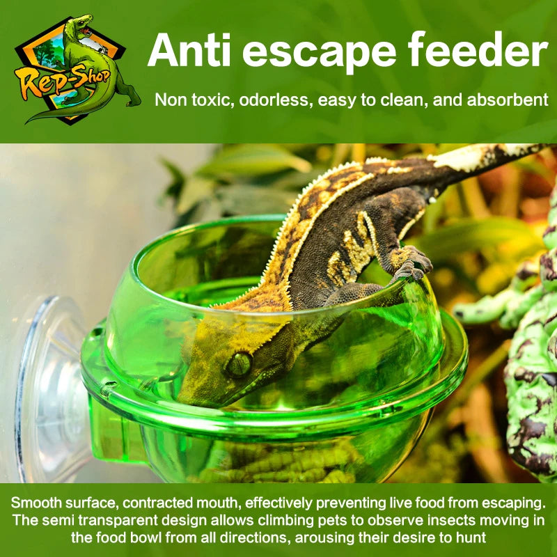 Anti-Escape Suction Cup Reptile Feeder Bowl | Lizard Gecko Reptile Feeder Bowl QXL