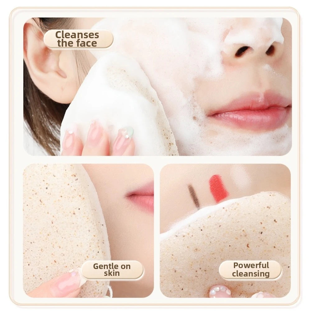 Walnut Seed Konjac Facial Sponge | Gentle Exfoliating Face Puff Exfoliating Face Sponge QXL