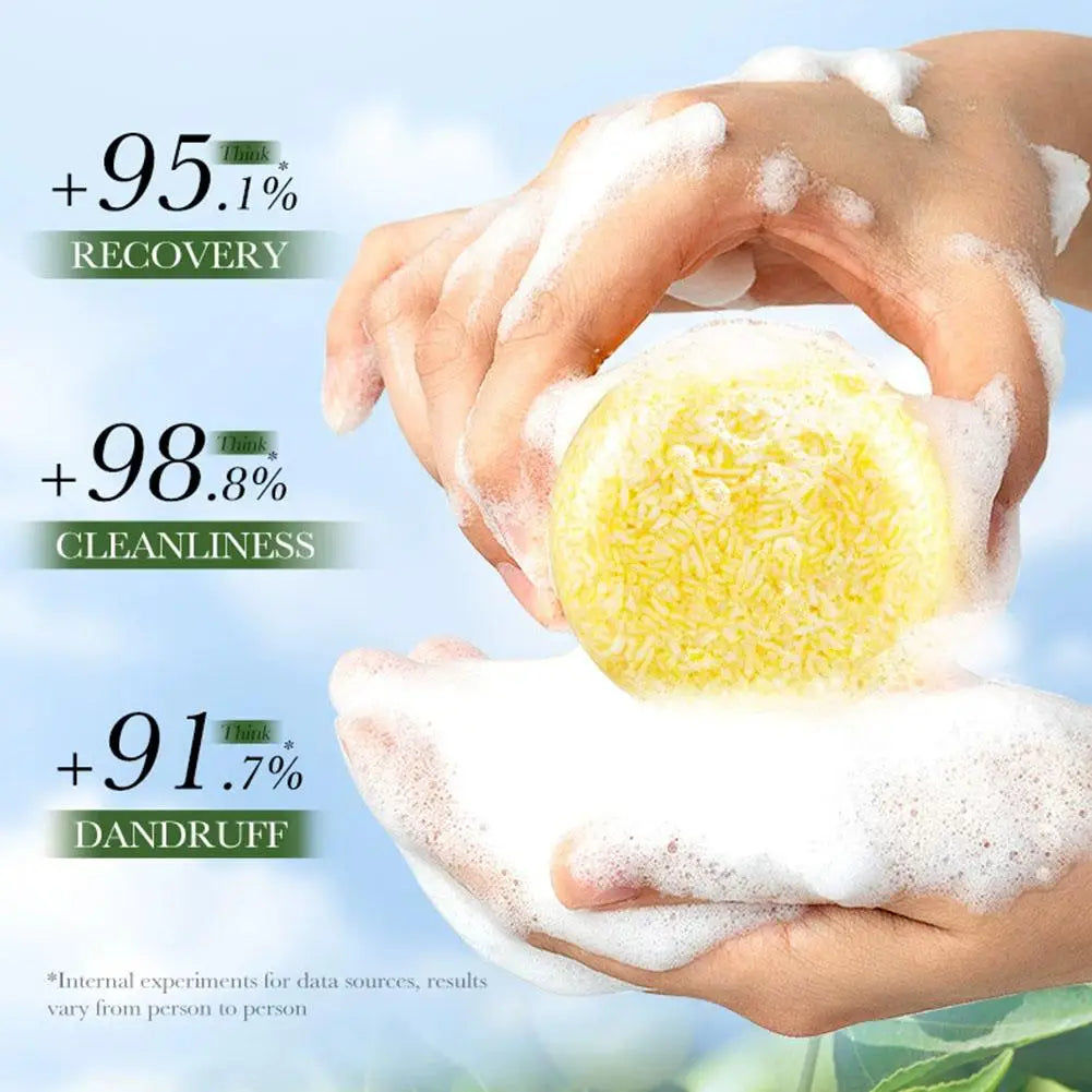 Olive Oil Solid Shampoo Bar | Nourishing & Volumizing Solid Shampoo Bar QXL