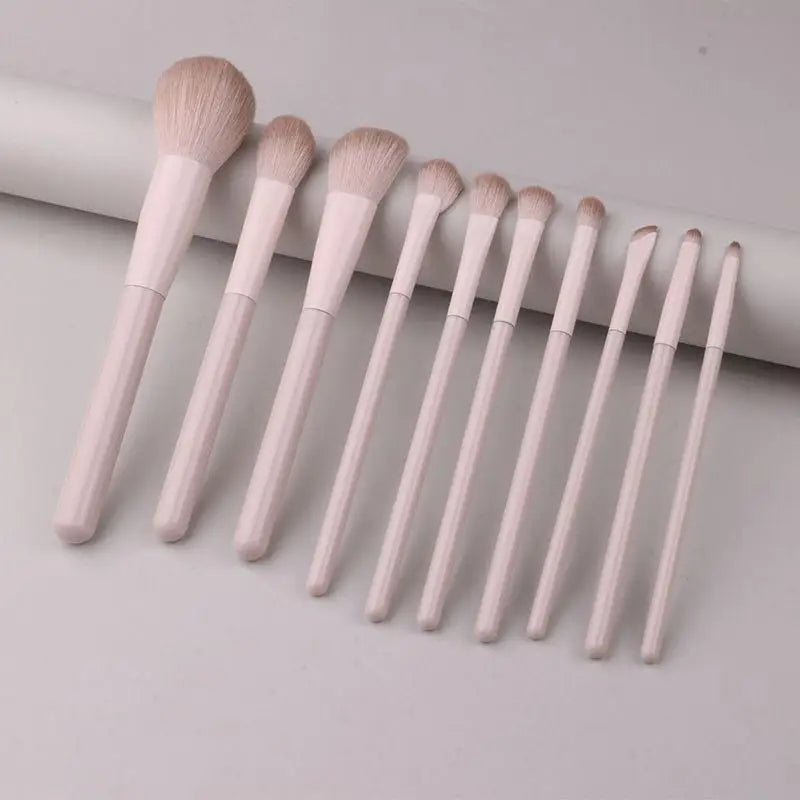 13-Pc Pink Makeup Brush Set with Pouch | Beginner Daily Use Makeup Brush Set QXL