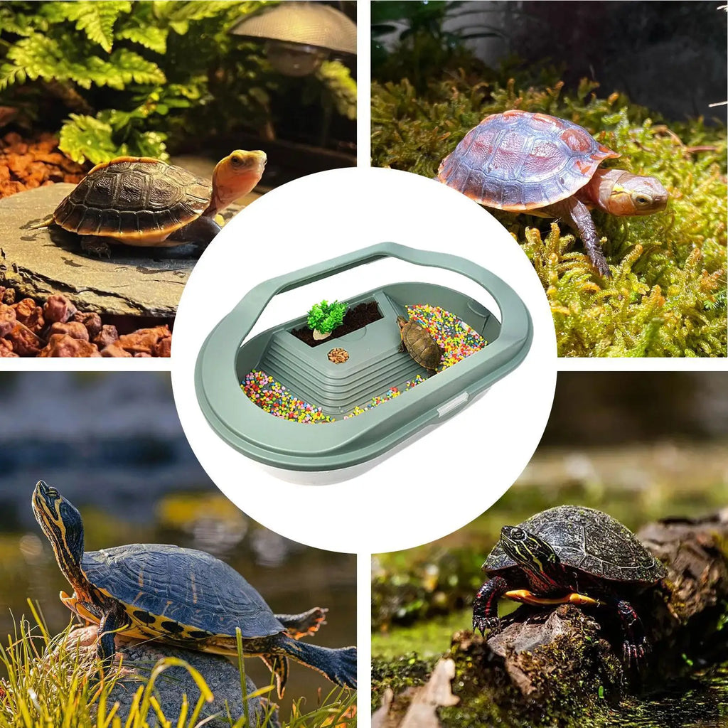 Turtle Tank Terrarium | Basking Stage, Clear Lid & Drainage Reptile Terrarium QXL