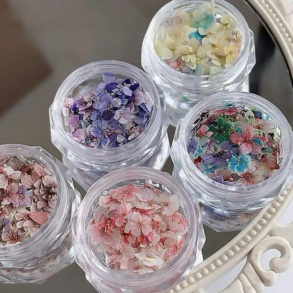 Real Dried Flower Nail Art Set | 3D Floral Manicure Decor Nail Art Decoration QXL